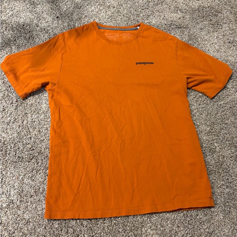 Patagonia Men's burnt Orange Tee